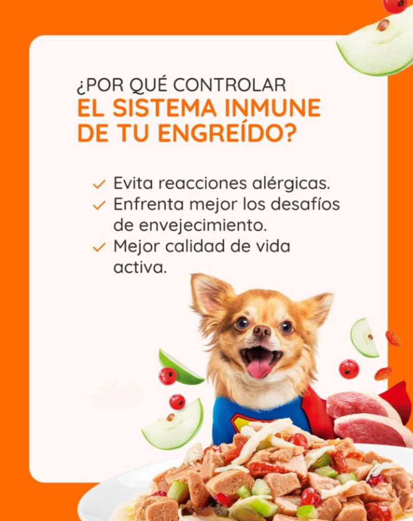 Diseño sin título (11)